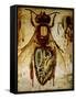 Anatomy of the Honey Bee, No.13, Pfurtscheller's Zoological Wall Chart-Paul Pfurtscheller-Framed Stretched Canvas