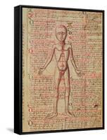 Anatomy of the Human Body, from 'Tractatus De Pestilencia'-M. Albik-Framed Stretched Canvas