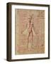 Anatomy of the Human Body, from 'Tractatus De Pestilencia'-M. Albik-Framed Giclee Print