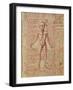 Anatomy of the Human Body, from 'Tractatus De Pestilencia'-M. Albik-Framed Giclee Print