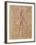 Anatomy of the Human Body, from 'Tractatus De Pestilencia'-M. Albik-Framed Giclee Print