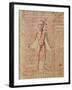 Anatomy of the Human Body, from 'Tractatus De Pestilencia'-M. Albik-Framed Giclee Print