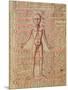 Anatomy of the Human Body, from 'Tractatus De Pestilencia'-M. Albik-Mounted Premium Giclee Print