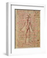 Anatomy of the Human Body, from 'Tractatus De Pestilencia'-M. Albik-Framed Giclee Print