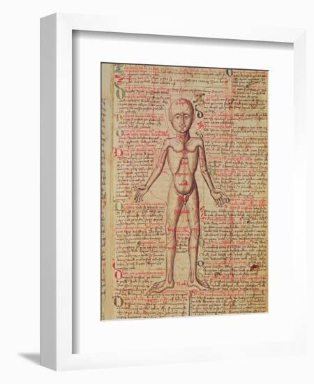 Anatomy of the Human Body, from 'Tractatus De Pestilencia'-M. Albik-Framed Giclee Print