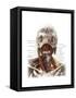 Anatomy of the Neck-Evan Oto-Framed Stretched Canvas