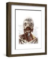 Anatomy of the Neck-Evan Oto-Framed Art Print