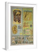 Anatomy of the Skin-null-Framed Art Print