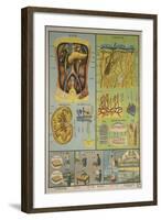 Anatomy of the Skin-null-Framed Art Print