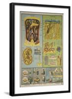 Anatomy of the Skin-null-Framed Art Print