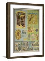 Anatomy of the Skin-null-Framed Art Print