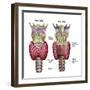 Anatomy of Thyroid Gland with Larynx & Cartilage-Stocktrek Images-Framed Photographic Print