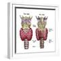 Anatomy of Thyroid Gland with Larynx & Cartilage-Stocktrek Images-Framed Photographic Print