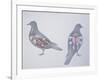 Anatomy of Two Pigeons-null-Framed Giclee Print