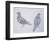 Anatomy of Two Pigeons-null-Framed Giclee Print