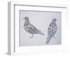 Anatomy of Two Pigeons-null-Framed Giclee Print