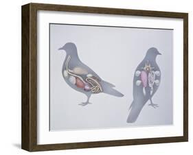 Anatomy of Two Pigeons-null-Framed Giclee Print