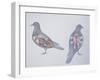 Anatomy of Two Pigeons-null-Framed Giclee Print