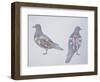 Anatomy of Two Pigeons-null-Framed Premium Giclee Print