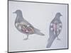 Anatomy of Two Pigeons-null-Mounted Premium Giclee Print