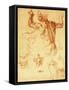 Anatomy Sketches (Libyan Sibyl)-Michelangelo Buonarroti-Framed Stretched Canvas