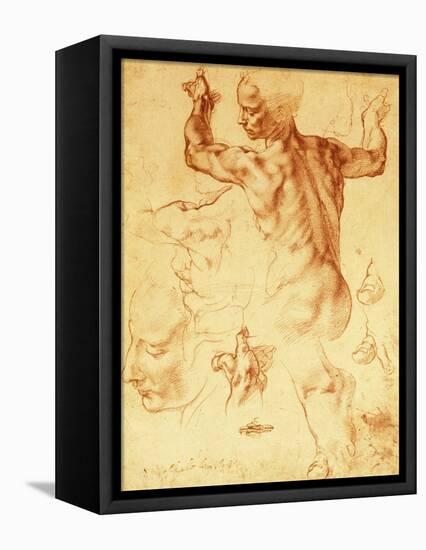 Anatomy Sketches (Libyan Sibyl)-Michelangelo Buonarroti-Framed Stretched Canvas