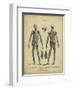 Anatomy Study II-Jack Wilkes-Framed Premium Giclee Print