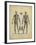 Anatomy Study II-Jack Wilkes-Framed Art Print