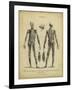 Anatomy Study II-Jack Wilkes-Framed Art Print