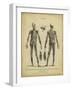 Anatomy Study II-Jack Wilkes-Framed Art Print