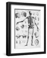 Anatomy:The Human Skeleton Frame-Bettmann-Framed Premium Giclee Print