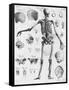 Anatomy:The Human Skeleton Frame-Bettmann-Framed Stretched Canvas