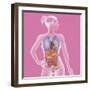 Anatomy, Trunk-Caroline Arquevaux-Framed Giclee Print