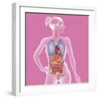 Anatomy, Trunk-Caroline Arquevaux-Framed Giclee Print