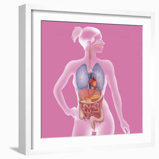 Anatomy, Trunk-Caroline Arquevaux-Framed Giclee Print