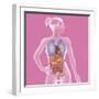 Anatomy, Trunk-Caroline Arquevaux-Framed Giclee Print