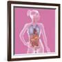 Anatomy, Trunk-Caroline Arquevaux-Framed Giclee Print