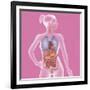 Anatomy, Trunk-Caroline Arquevaux-Framed Giclee Print