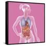 Anatomy, Trunk-Caroline Arquevaux-Framed Stretched Canvas