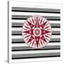 Anchor Compass 2-Kimberly Allen-Stretched Canvas