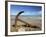 Anchor from the Barque Ben Avon, Shipwrecked in 1903, Ngawi, Wairarapa, North Island, New Zealand-David Wall-Framed Photographic Print