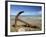 Anchor from the Barque Ben Avon, Shipwrecked in 1903, Ngawi, Wairarapa, North Island, New Zealand-David Wall-Framed Photographic Print