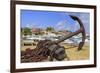 Anchor in Gustavia Harbor-Richard Cummins-Framed Photographic Print