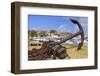 Anchor in Gustavia Harbor-Richard Cummins-Framed Photographic Print