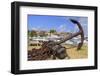 Anchor in Gustavia Harbor-Richard Cummins-Framed Photographic Print