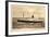 Anchor Line, Twin Screw Motor Ship Cilicia, Dampfer-null-Framed Giclee Print