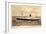 Anchor Line, Twin Screw Motor Ship Cilicia, Dampfer-null-Framed Giclee Print