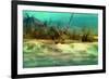 Anchor-Atelier Sommerland-Framed Art Print