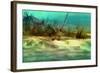 Anchor-Atelier Sommerland-Framed Art Print