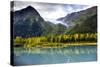 Anchorage Alaska State Parks-Leieng-Stretched Canvas